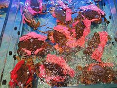 -阿伟海鲜楼·福建菜(延寿店)