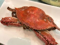 -金海湾海鲜排档(朱家尖店)