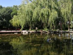 -玲珑塔公园