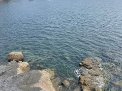 -大连金石滩滨海国家地质公园