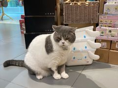 -解忧集市(北京路天河城店)