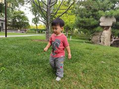 -西海子公园
