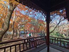 -秋霞圃