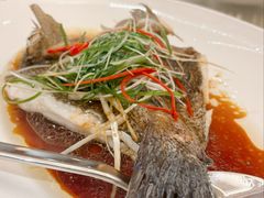 -正佳广场万豪酒店-粤菜餐厅·点心·海鲜·聚餐