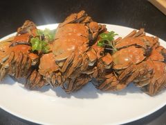 -一麦·龙岛(上海青浦店)