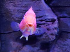 -成都浩海立方海洋公园