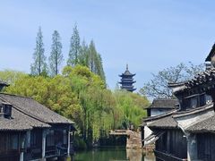 -乌镇西栅景区