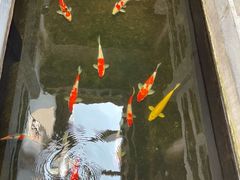 -鲤院·新中式美学·庭院餐厅(夫子庙店)