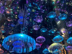 -梵高星空艺术馆(北京旗舰店)