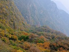-大岭沟猕猴桃谷风景区