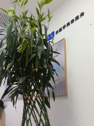 -天津伊美尔医疗整形美容专科医院