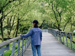 -西湖风景区-江洋畈生态公园