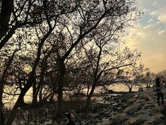 -宝安西湾红树林湿地公园