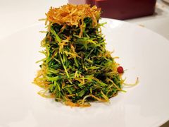 巧拌豆苗-四季民福烤鸭店(王府井灯市口店)