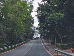 -杨梅坑
