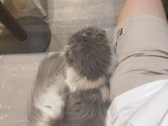 -小时光咖啡馆(开森度假森林店)