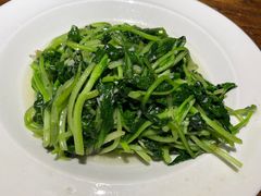 蒜茸鸡毛菜-金枝玉叶上海人家食府(三里河店)