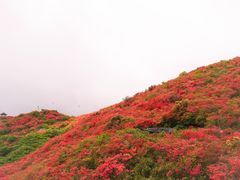 -大围山国家森林公园