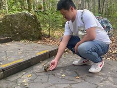 -汤旺河林海奇石景区
