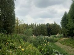 -贵阳市花溪国家城市湿地公园