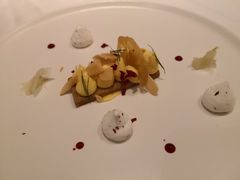 -蝶舍·MAISON PAPILLON