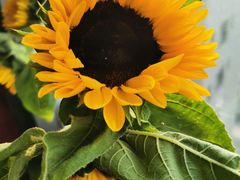 -盒马鲜生(顺义店)