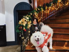 -Shanghai Brew House上海啤酒工坊(老外街店)