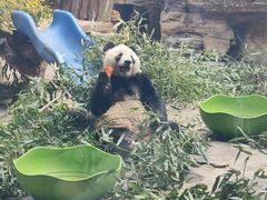 -石家庄市动物园