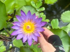 -广州白天鹅宾馆