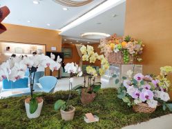 -杭州贝瑞斯美华妇儿医院·早孕·产检·儿科