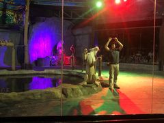 -清迈夜间动物园