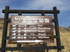 -新疆天山野生动物园