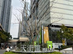 -首开·龙湖成都西宸天街