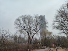 -杨记跷脚牛肉面(下元店)