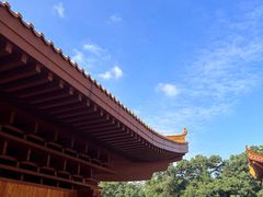 -深圳仙湖植物园