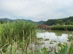 -东钱湖旅游度假区