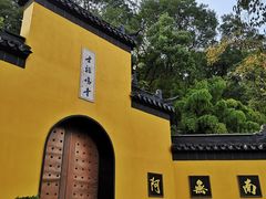 莲心露·红茶拿铁-鸡鸣赐茶(鸡鸣寺路店)