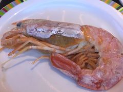 阿根廷红虾-喜庭海鲜自助(来福士店)