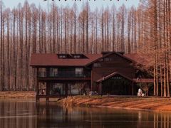 -黄海国家森林公园