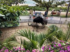 -三亚亚龙湾天域度假酒店