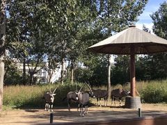 -大连森林动物园