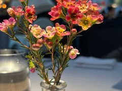 -夏朵花园(复兴西路店)