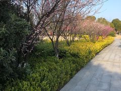 -澹台湖公园