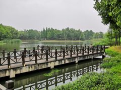 -尚贤河湿地