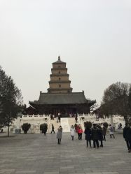 -西安市儿童医院门诊