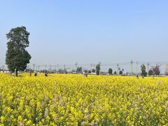 -中国天府农业博览园