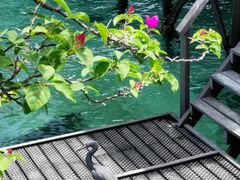 -卡帕莱度假村(西巴丹岛)