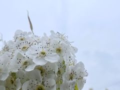 -广富林郊野公园