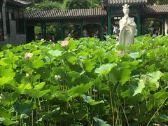 -元启堂·中医正骨推拿·经络足道(夏湾店)