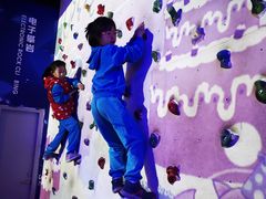-中国宋庆龄青少年科技文化交流中心